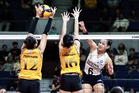 UST, NU dispute UAAP Finals berth