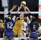 UST captures SGVIL Div. 1 title