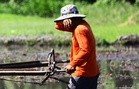 Warm, humid weather to persist — Pagasa