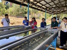 Hatchery to boost tilapia production for Abra fisherfolk