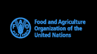 UN agency warns Hormuz block could trigger global food crisis