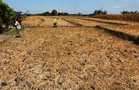 'Very strong' El Niño expected late 2026 could worsen food, energy inflation, according to market study