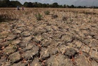 Govt prepares interventions to cushion impact of El Niño
