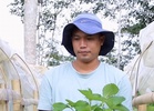 Berry innovative