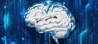 From optical modules to chips: China's tech supply chains sustain global AI growth