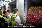 BOC uncovers ₱86.7M in abandoned red onion shipment