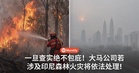 一旦查实绝不包庇！大马公司若涉及印尼森林火灾将依法处理！