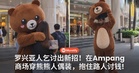 罗兴亚人乞讨出新招！在Ampang商场穿熊熊人偶装，主动抱住路人后讨钱！