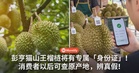 彭亨猫山王榴梿将有专属「身份证」!消费者以后可查原产地,辨真假!