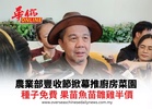 農業部豐收節掀幕推廚房菜園 種子免費 果苗魚苗雛雞半價