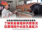 加馬威訪獸醫局擔波羅里家禽農場了解家禽養殖與供應情況促農場提升幼苗生產能力