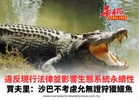 違反現行法律並影響生態系統永續性 賈夫里：沙巴不考慮允無證狩獵鱷魚