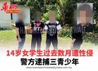 14岁女学生过去数月遭性侵 警方逮捕三青少年