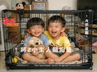 女傭只顧滑手機 2小主人慘關狗籠