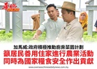 加馬威:政府積極推動廚房菜園計劃籲居民善用住家進行農業活動同時為國家糧食安全作出貢獻