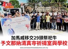 加馬威移交29頭祭祀牛予文那納清真寺祈禱室與學校