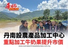 丹南設農產品加工中心 重點加工牛奶果提升市價