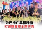 沙巴推广旱稻种植 打造粮食安全新方向