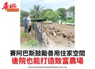 賽阿巴斯鼓勵善用住家空間後院也能打造致富農場