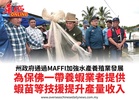 州政府通過MAFFI加強水產養殖業發展為保佛一帶養蝦業者提供蝦苗等技援提升產量收入