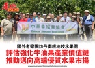 國外考察團訪丹南根地咬水果園評估強化牛油果產業價值鏈推動邁向高端優質水果市揚