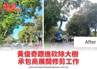 黃俊奇跟進砍除大樹 承包商展開修剪工作