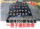 無證持300顆海龜蛋 一男子遭扣助查