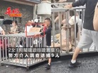 2女1狗關籠遊街是擺拍賺流量 警方介入逮捕9人
