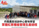 丹南農民培訓中心實地學習掌握紅蔥種植管理生產過程