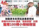 鼓勵更多民眾投身農業領域保佛PERISMA 通過“廚房菜園”計劃獲贈100棵小辣椒樹苗
