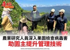 農業研究人員深入果園檢查病蟲害助園主提升管理技術