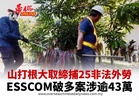 山打根大取締捕25非法外勞 ESSCOM破多案涉逾43萬
