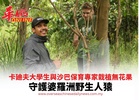 卡廸夫大學生與沙巴保育專家栽植無花果 守護婆羅洲野生人猿