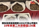 關稅局根機場攔截100公斤穿山甲鱗片 10年來第二大宗總值130萬