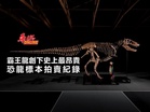 霸王龍創下史上最昂貴恐龍標本拍賣紀錄