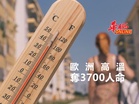 歐洲高溫狂奪3700命！