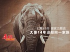 大象14年追殺同一家族　已奪25命 搬家也沒用