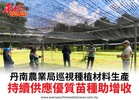 丹南農業局巡視種植材料生產持續供應優質苗種助增收