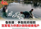 魯斯蘭:爭取政府撥款百萬電力供應計劃助蝦養殖戶