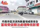 丹南市區流浪狗數量增威脅安全當局受促關注處理降低影響