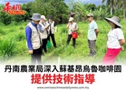 丹南農業局深入蘇基昂烏魯咖啡園提供技術指導