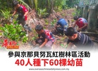 參與京那貝努瓦紅樹林區活動40人種下60棵幼苗