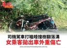 司機駕車打瞌睡撞樹翻落溝女乘客拋出車外重傷亡