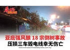 亚庇强风酿 18 宗倒树事故 压损三车毁电线幸无伤亡