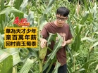 華為天才少年 棄百萬年薪 回村賣玉蜀黍
