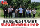 農業局赴根監測牛油果病蟲害鄧靖強籲加強農業技術合作