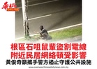 根區石咀鼠輩盜割電線附近民居網絡頓受影響黃俊奇籲攜手警方遏止守護公共設施