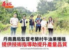 丹南農局監督考蘭村牛油果種植提供技術指導助提升產量品質