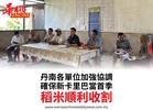 丹南各單位加強協調確保新卡里巴當首季稻米順利收割