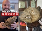 買搞笑狐狸標本竟是滅絕奇獸  轉手爽賺千倍